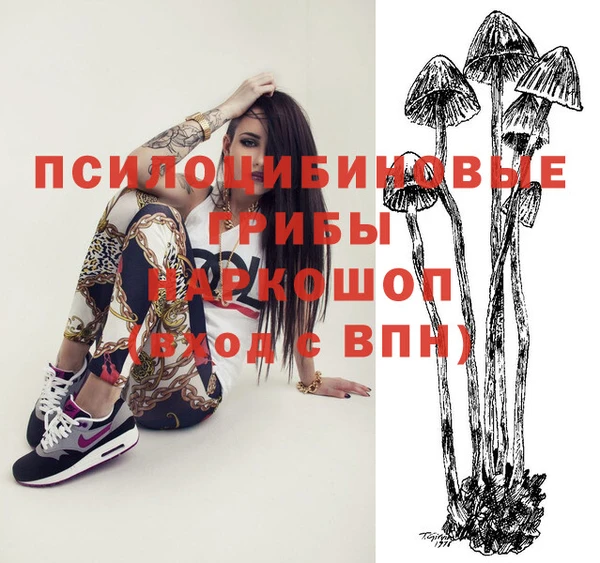 СК Семикаракорск